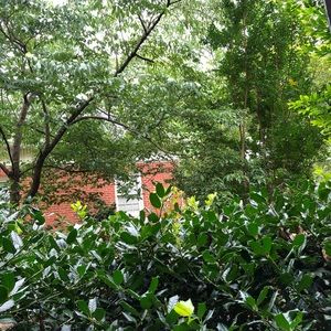 Meet your Posher, Jayden